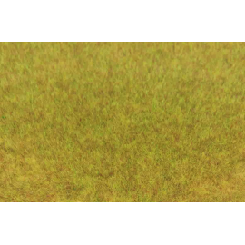  Busta da 75 g di erba selvatica autunnale 5-6 mm