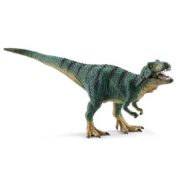  Giovane tirannosauro Rex