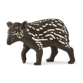  Giovane tapiro