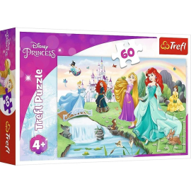  Puzzle da 60 pezzi Incontri con le Principesse
