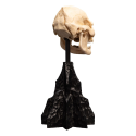 The Lord of the Rings Skull of Lurtz statuette 14 cm