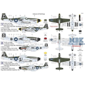 Modellini di aerei North American P-51D-5 Mustang "20.th FG"