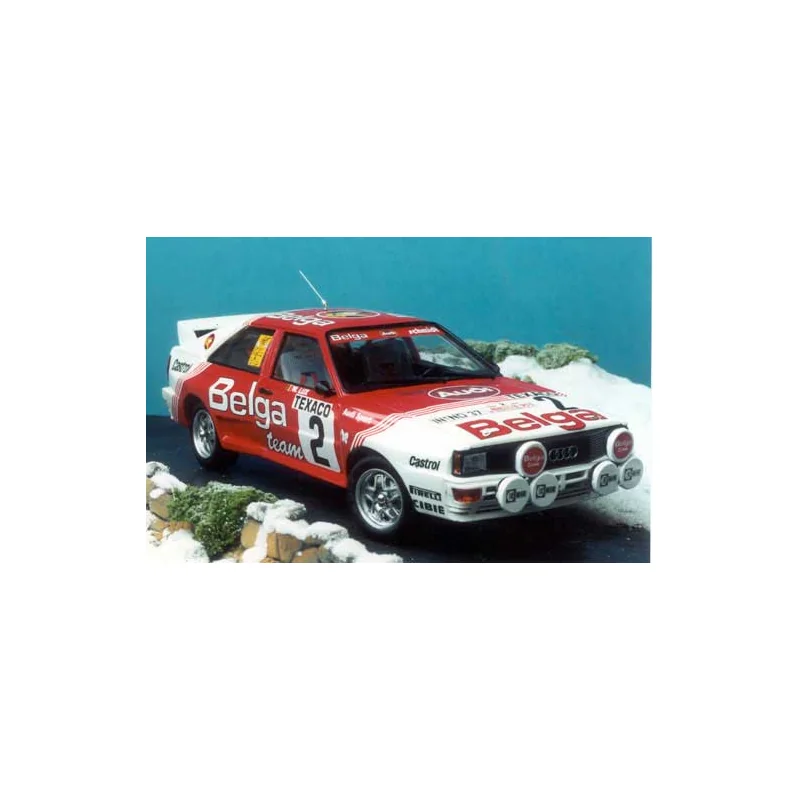 Automodello AUDI QUATTRO SPA 1983 DUEZ BELGA BODY RESIN PARTS