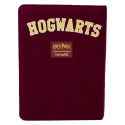 Album e quaderni Harry Potter Loungefly Notebook Journal Hogwarts Quidditch