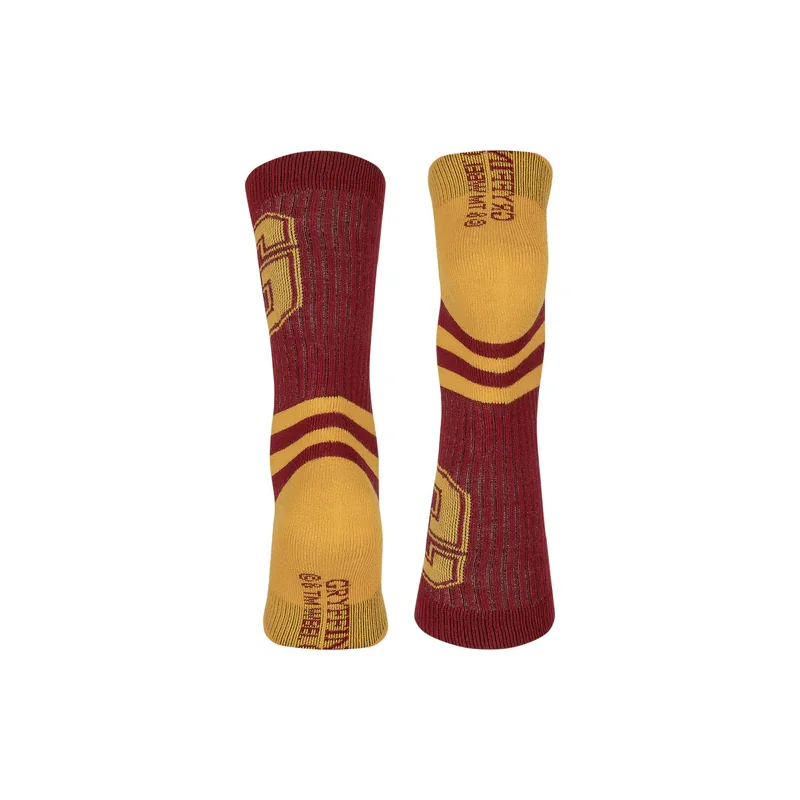 Scarpe e calze HARRY POTTER - Gryffindor - 1 pair of socks (T40-45)