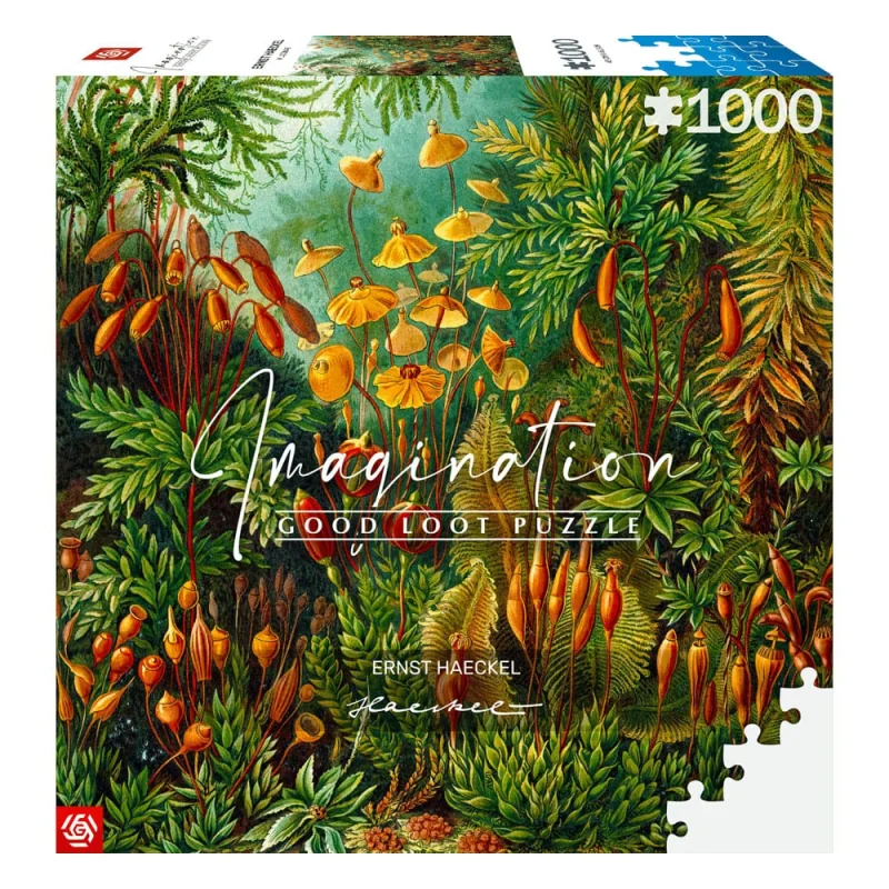 Puzzle Ernst Haeckel puzzle Imagination Muscinae (1000 pieces)