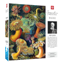 Puzzle Ernst Haeckel puzzle Imagination Sea Anemones/Stworzenia morskie (1000 pieces)