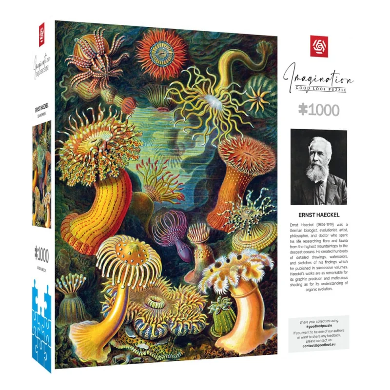 Puzzle Ernst Haeckel puzzle Imagination Sea Anemones/Stworzenia morskie (1000 pieces)