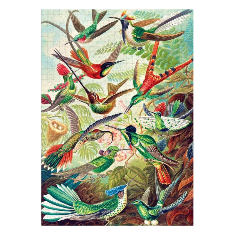 Good Loot Ernst Haeckel puzzle Imagination Hummingbirds/Kolibry (1000 pieces)