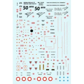 Decalcomania Dassault Mirage 2000 DGA EV (flight trials) : Mirage 2000B N 501 & Mirage 2000D N 676
