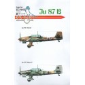 Decalcomania Junkers Ju 87B-2 'Stuka'. T6+AN; 5./St.G. 2 Sept 1941; Yellow G Unit Unknown Winter 1941/1942;