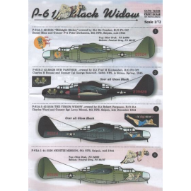  Decalcomania Northrop P-61 Black Widow