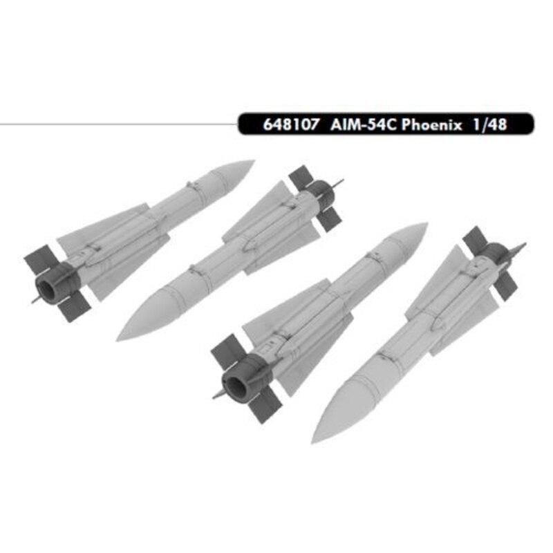 AIM-54C Phoenix per giugno 2013 rilascio. 