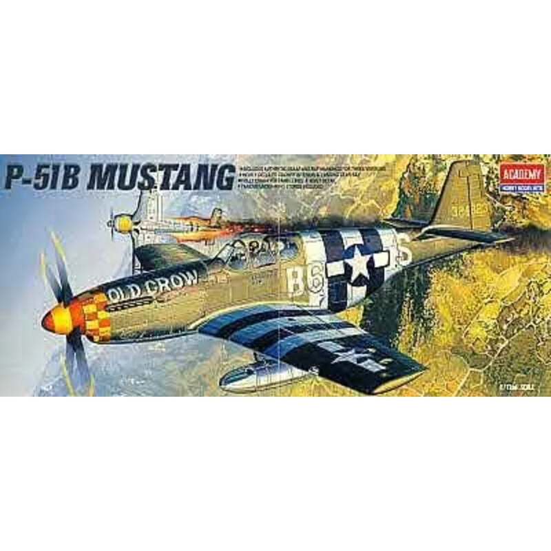 P - 51B Mustang (ex 1667)