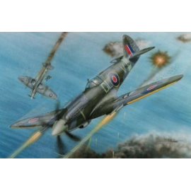 Modellini di aerei Supermarine Spitfire F Mk.21 'No.91 Sq. RAF in WWII'