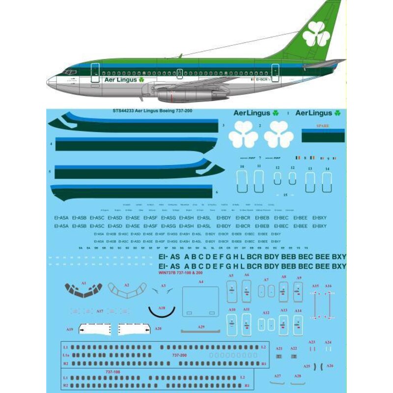 Decalcomania Aer Lingus 1970 livrea Boeing 737-200