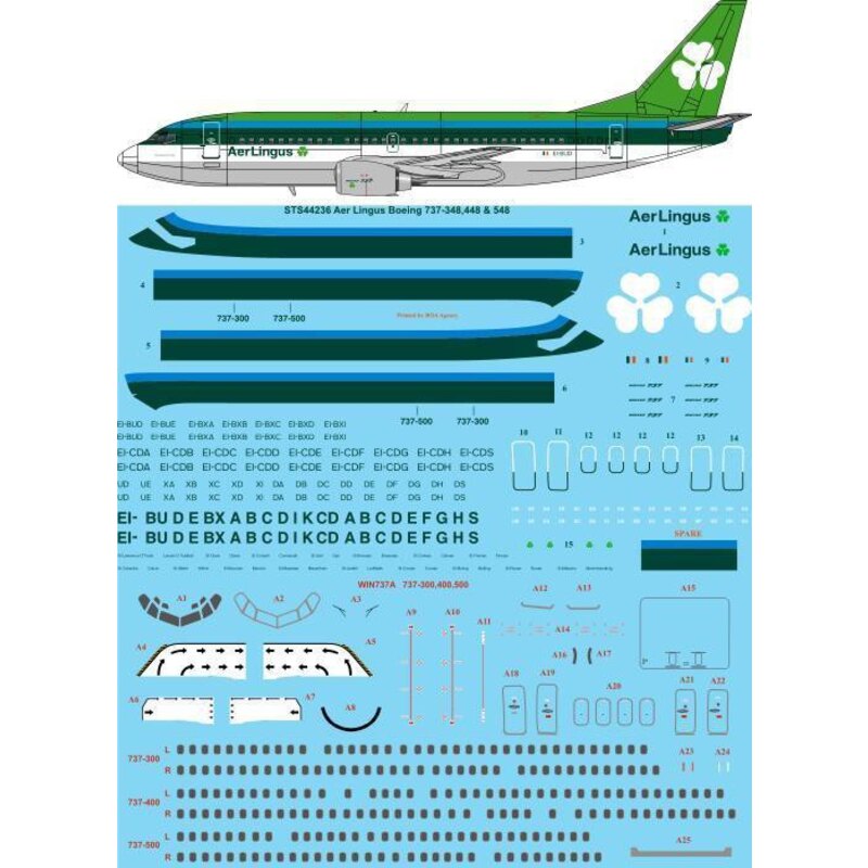 Decalcomania Aer Lingus 1970 livrea Boeing 737-300, 737-400, 737-500