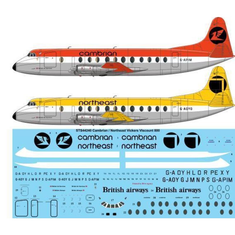 Decalcomania Northeast / Cambriano Vickers Viscount 800